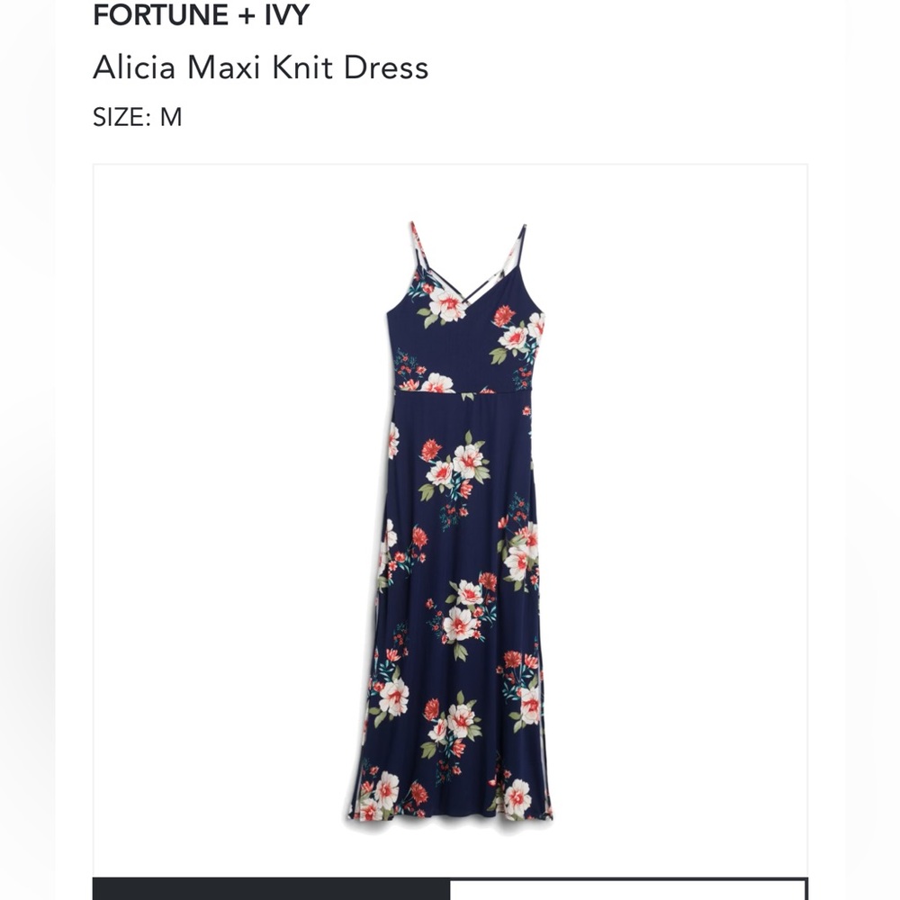 StitchFix Fortune and Ivy Maxi Dress Size M